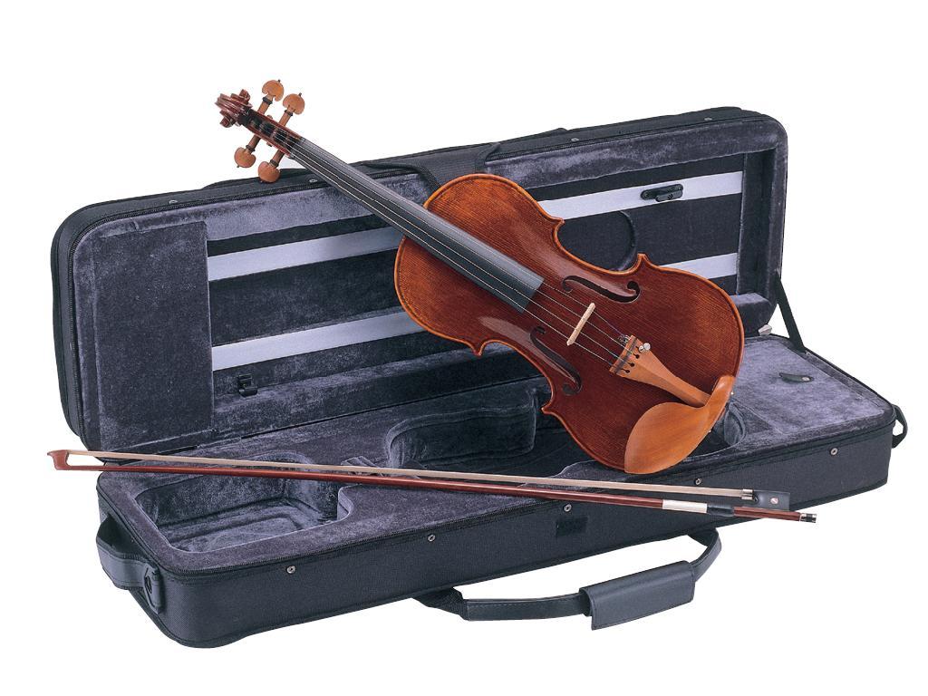 Violín Carlo Giordano Vs2 1/2