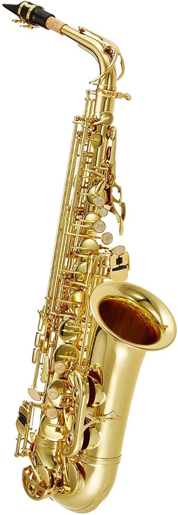 Saxo Alto J. Michael Lacado Al500