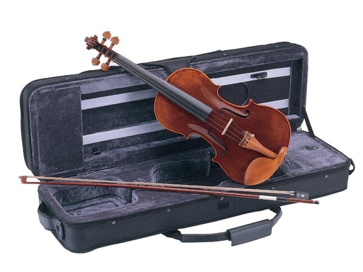 [VS212] Violín Carlo Giordano Vs2 1/2